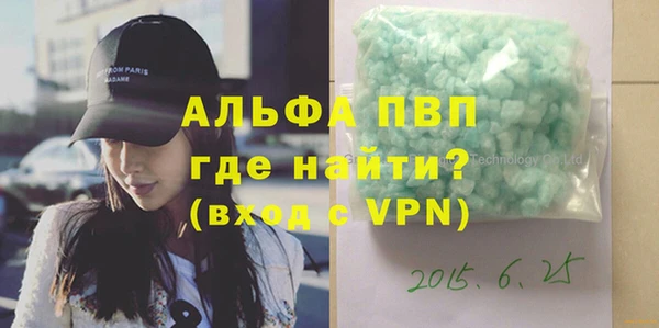 гашик Верея