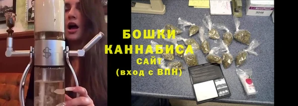 гашик Верея