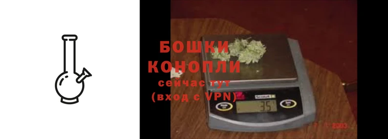 гашик Верея