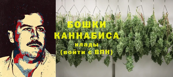 гашик Верея