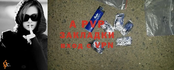гашик Верея