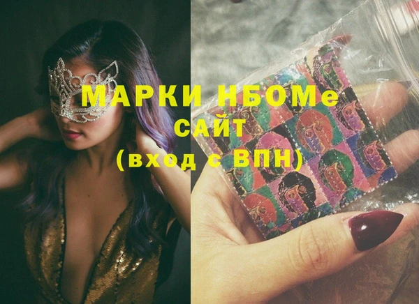 гашик Верея