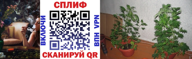 закладка Магнитогорск Бошки Шишки тримм